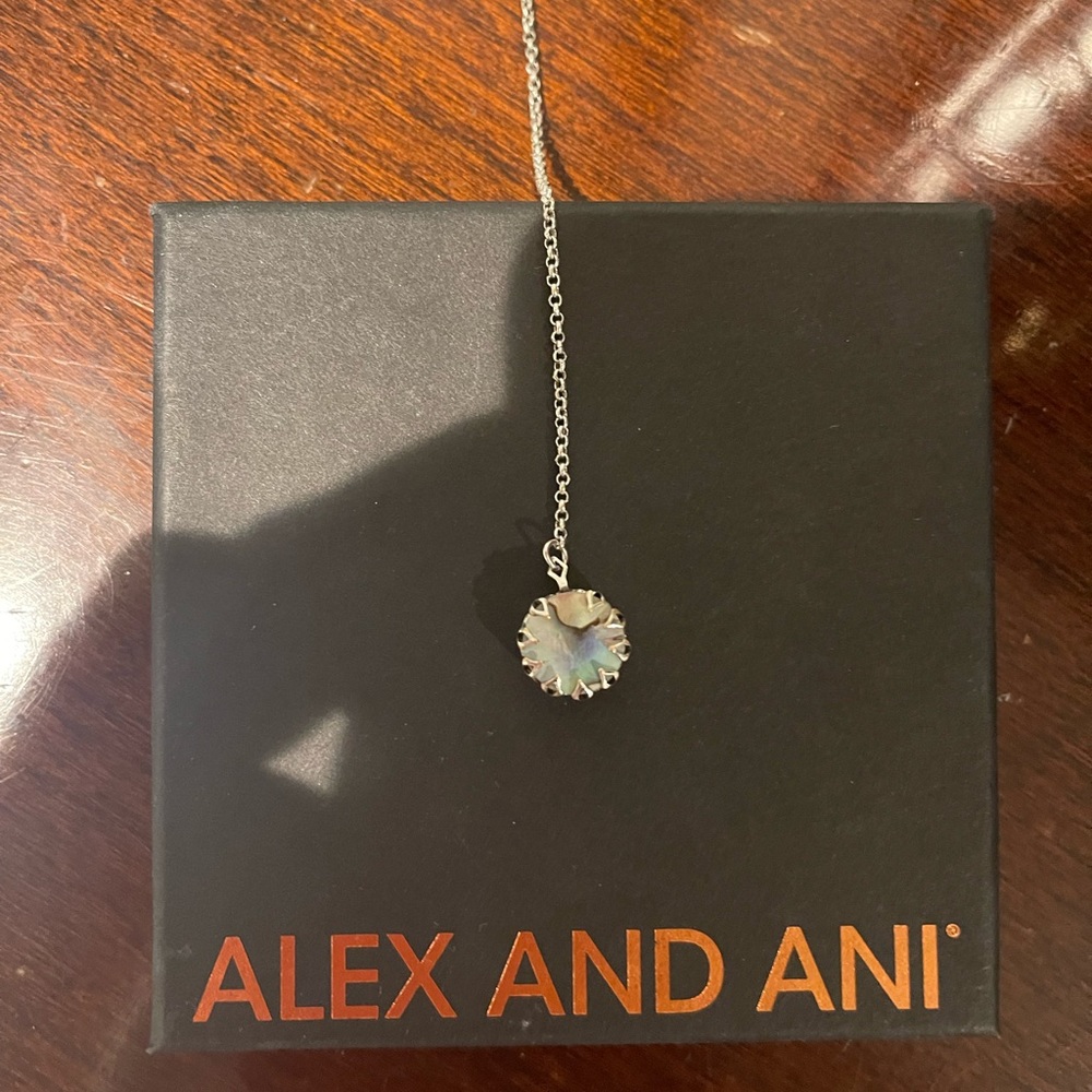 Alex and Ani Lariat necklace